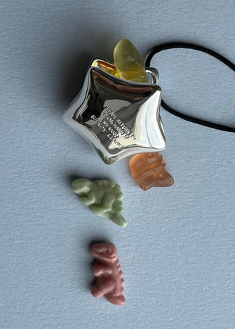 STAR POCKET NECKLACE