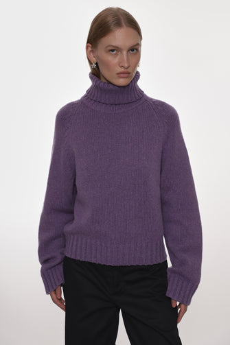 Person wearing a purple turtleneck sweater on a white background