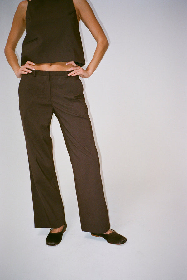 ANDES PANT IN WALNUT
