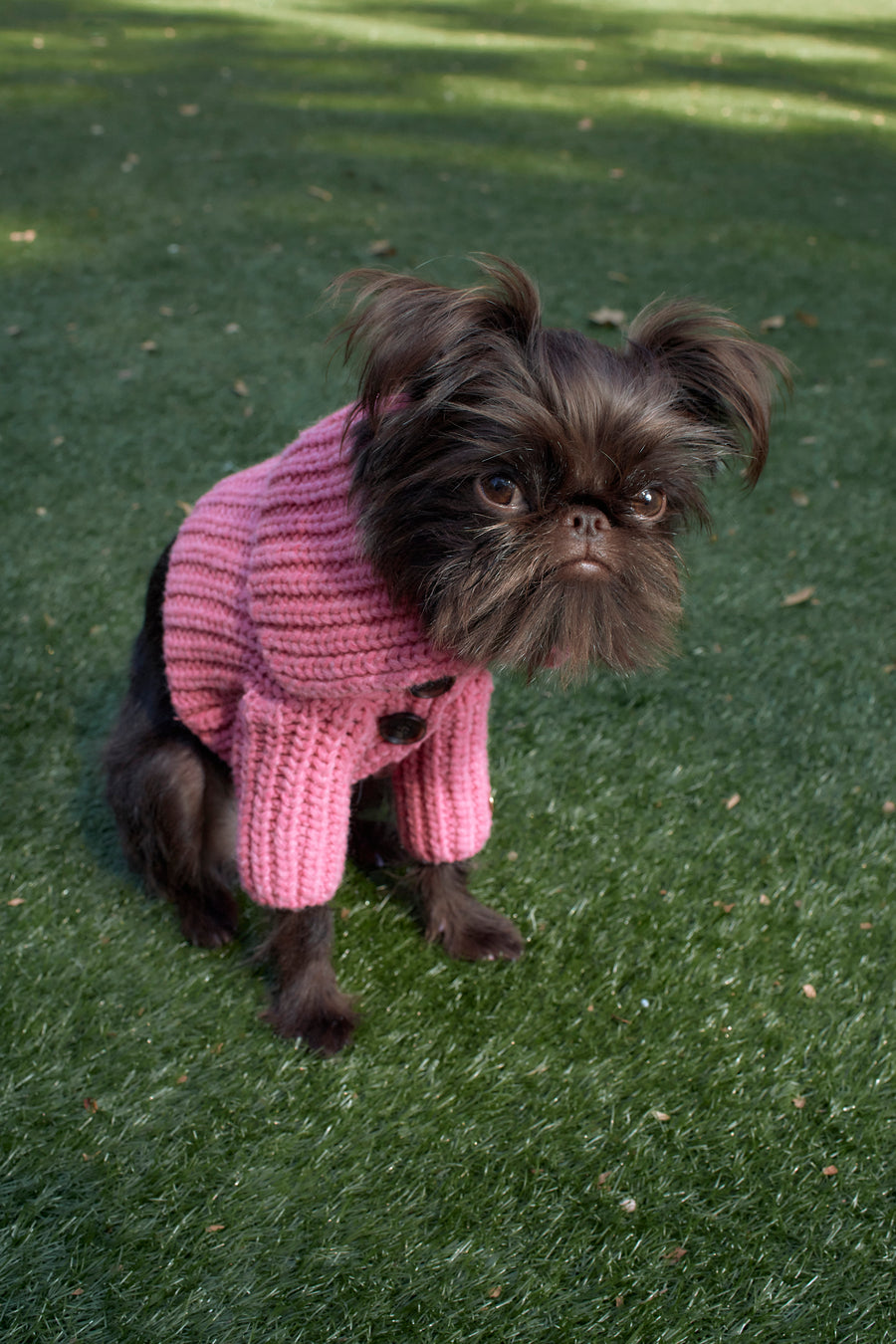 LIL MULLED CARDIGAN IN CARNATION