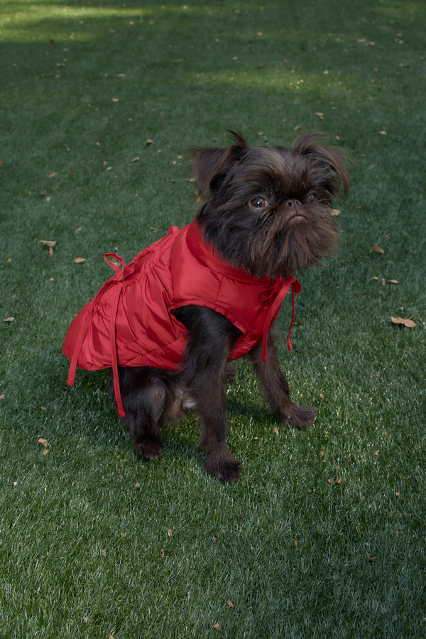 Dog puffer coat in red with bow details