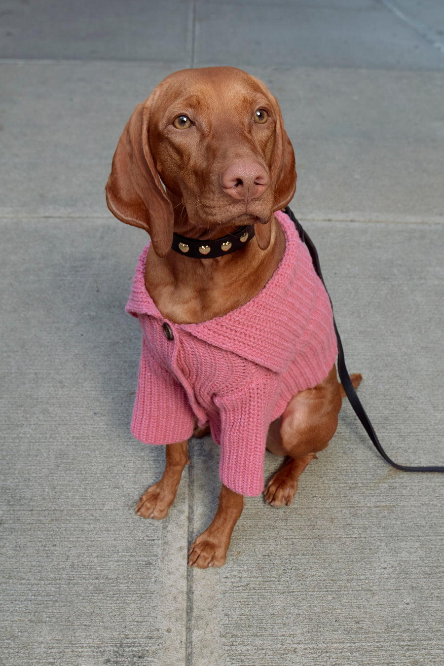 LIL MULLED CARDIGAN IN CARNATION