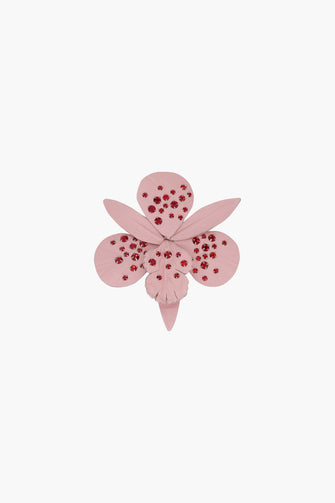 DENDROBIUM CLIP IN PINK