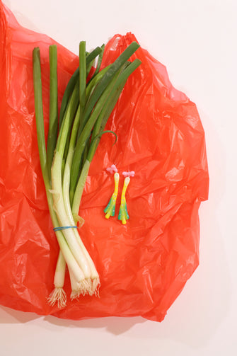 SCALLIONETTE EARRINGS