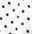 white polka dot